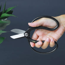 Load image into Gallery viewer, Ikebana.be Flower Arrangement Beginner Kit | Made in Japan – Wazakura Koryu Scissors, Brass Kenzan, & Illustrated Guide
