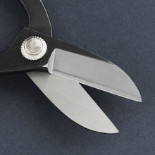 Load image into Gallery viewer, Blades of the Ikenobo Ikebana Scissors