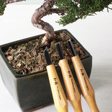 Load image into Gallery viewer, 3PCS Bonsai Jin Chisel Kit - Wazakura Japan