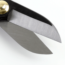 Load image into Gallery viewer, Close up on Ikenobo Scissors Blades