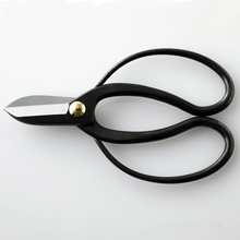 Load image into Gallery viewer, horizontal view of the Koryu Ikebana Scissors