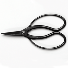 Load image into Gallery viewer, Horonzitalview of the Traditional Scissors