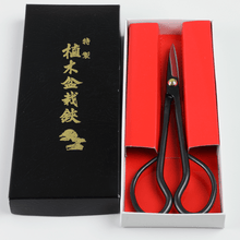 Load image into Gallery viewer, Satsuki in its original box