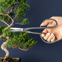 Load image into Gallery viewer, Stainless Yasugi Steel Made in Japan Satsuki Bonsai Scissors 7" (180 mm) - Wazakura Japan