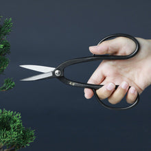 Load image into Gallery viewer, Pruning with Yasugi Ashinaga Bonsai Scissors
