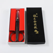 Laden Sie das Bild in den Galerie-Viewer, Black Twig Scissors for Bonsai in their original box