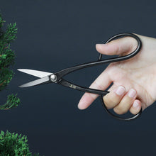 Load image into Gallery viewer, Pruning with Yasugi Satsuki Bonsai Scissors
