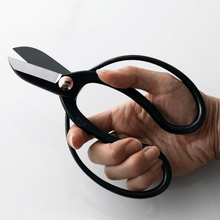 Load image into Gallery viewer, Hand holding the Koryu Floral Scissors