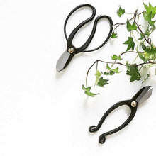 Load image into Gallery viewer, Ikenobo Scissors with Koryu Scissors