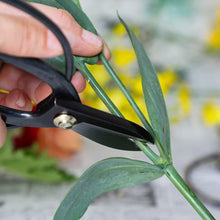 Load image into Gallery viewer, Koryu Floral Scissors cutting a stem
