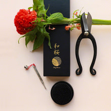 Load image into Gallery viewer, 3PCS Japanese Ikebana Essential Tool Set Ikenobo Round Black Kenzan - Wazakura Japan