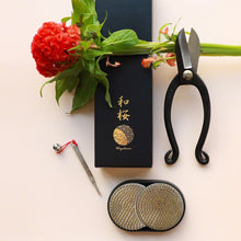 Load image into Gallery viewer, 3PCS Set Ikenobo Scissors with PIn holder and Sun & Moon Kenzan, original box