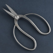 Load image into Gallery viewer, Kazuyuki Ishihara Signature Bonsai Scissors – 7" Stainless Steel

