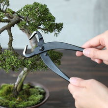 Load image into Gallery viewer, Hand Forged Bonsai Tree Trunk Splitter 8.25"(210mm) Asymmetrical Handle
