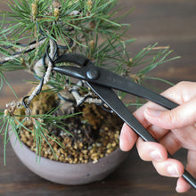 Load image into Gallery viewer, Hand Forged Bent-Tip Bonsai Wire and Jin Pliers 8.66" (220mm)
