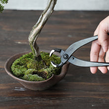 Laden Sie das Bild in den Galerie-Viewer, Hand Forged Bonsai Root Cutter 8-1/4" (210mm)
