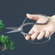 Load image into Gallery viewer, Kazuyuki Ishihara Signature Bonsai Scissors – 7" Stainless Steel
