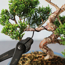 Load image into Gallery viewer, Black Aluminum Bonsai Training Wire 150g, 1mm - 6mm - Wazakura Japan

