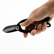 Load image into Gallery viewer, Hand carrying the Ikenobo Scissors
