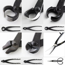 Load image into Gallery viewer, 6PCS Bonsai Professional Tool Kit [ Satsuki Scissors + 5 Cutters ] - Wazakura Japan
