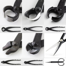 Load image into Gallery viewer, 6PCS Bonsai Professional Tool Kit [ Twig Scissors + 5 Cutters ] - Wazakura Japan
