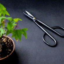 Load image into Gallery viewer, Bonsai Trimming and Care Kit [ Twig Bonsai Scissors + Sap Rust Eraser Set ] - Wazakura Japan
