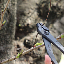 Load image into Gallery viewer, 2PCS Japanese Bonsai Wiring Tool Set [ Wire Cutter + Bonsai Pliers ] - Wazakura Japan
