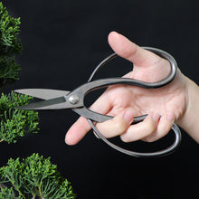 Load image into Gallery viewer, Traditional Bonsai Scissors 7"(180mm) Stainless Steel - Wazakura Japan
