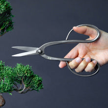 Load image into Gallery viewer, Stainless Yasugi Steel Ashinaga Bonsai Scissors 8"(200mm) - Wazakura Japan
