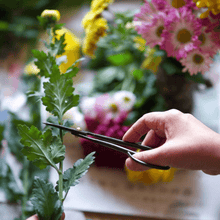 Load image into Gallery viewer, Hand using the satsuki cutting a flower stem
