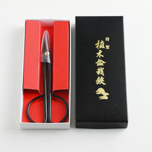 Laden Sie das Bild in den Galerie-Viewer, Twig floral and Bonsai scissors in their original box

