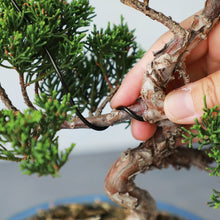Load image into Gallery viewer, Black Aluminum Bonsai Training Wire 150g, 1mm - 6mm - Wazakura Japan
