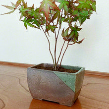 Load image into Gallery viewer, [ Tokoname Series ] Rectangular Glazed Bonsai Pot 5.3"(135 mm) - Wazakura Japan
