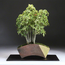Load image into Gallery viewer, [ Tokoname Series ] Fan Shaped Bonsai Pot 6.8”(174mm) - Wazakura Japan
