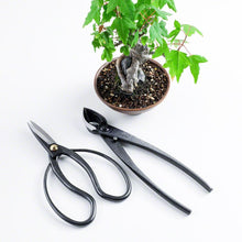 Load image into Gallery viewer, 2PCS Japanese Bonsai Essential Tool Set [ Traditional Scissors + Concave Cutter ] - Wazakura Japan
