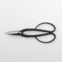 Load image into Gallery viewer, Horizontal view of the Ashinaga bonsai scissors
