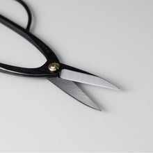 Load image into Gallery viewer, Blades of the Ashinaga Scissors
