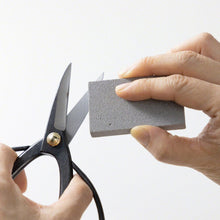Load image into Gallery viewer, Sap and rust eraser removing some stain from scissors blades

